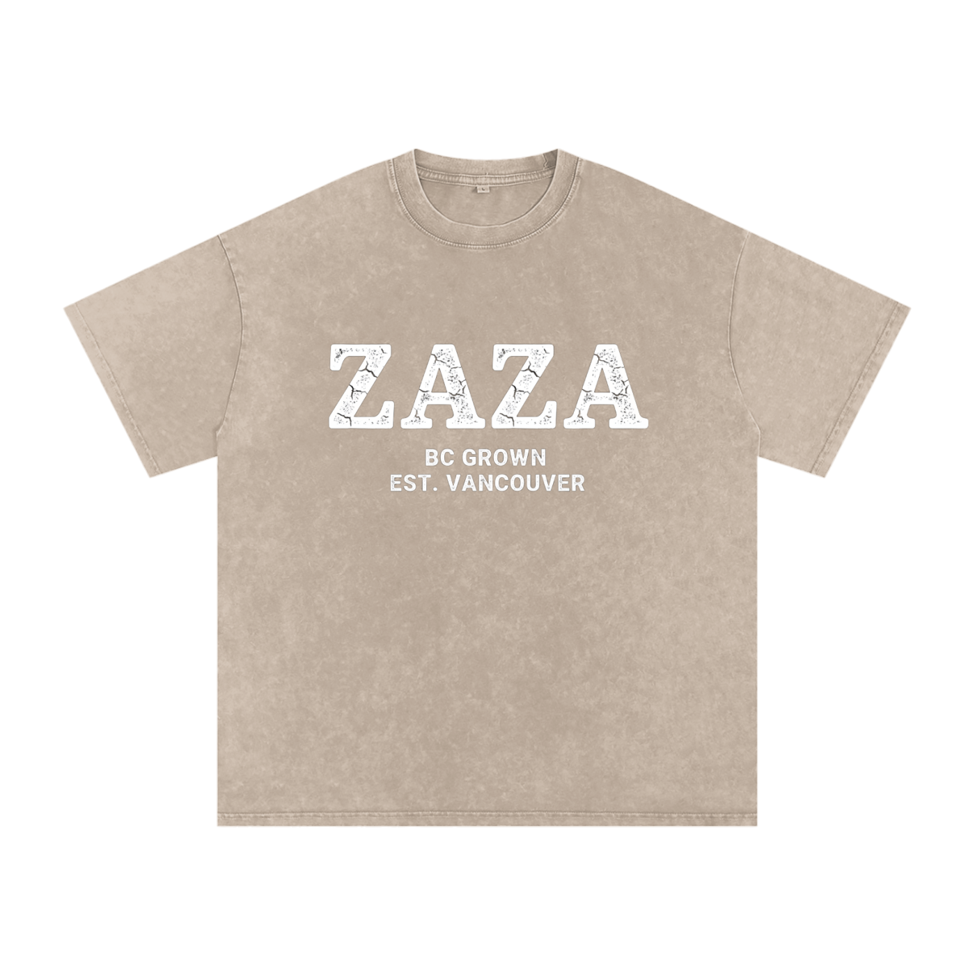 Snow Washed Oversized Cotton T-Shirt